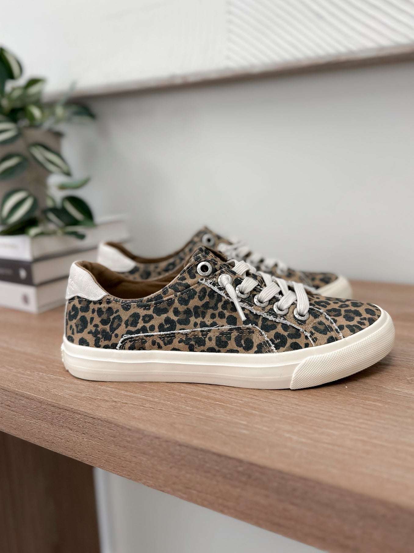 Slip on Sneaker in Leopard by Blowfish
