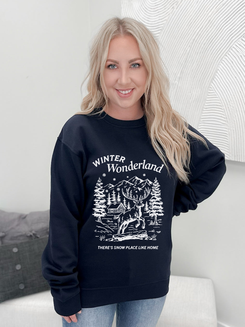 Snow Place Like Home Graphix Pullover / Hoodie