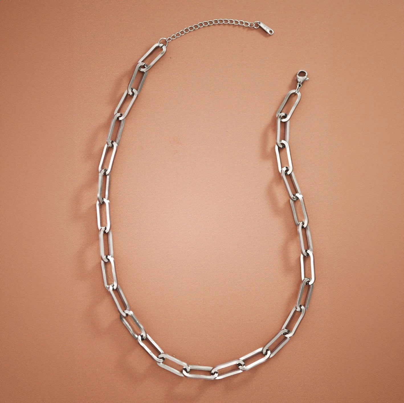 Steel Chain Necklace in Silver