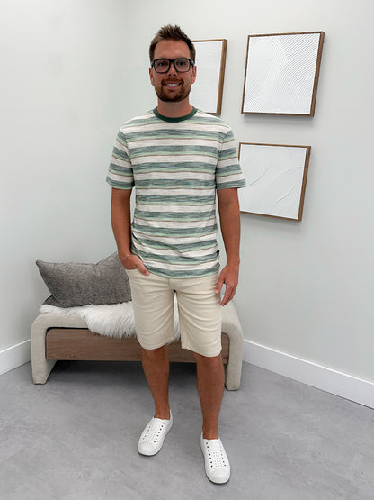 Mens Jett Tee in Green Stripe