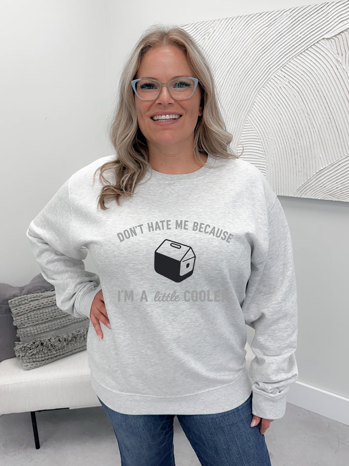 Little Cooler Graphix Pullover / Hoodie