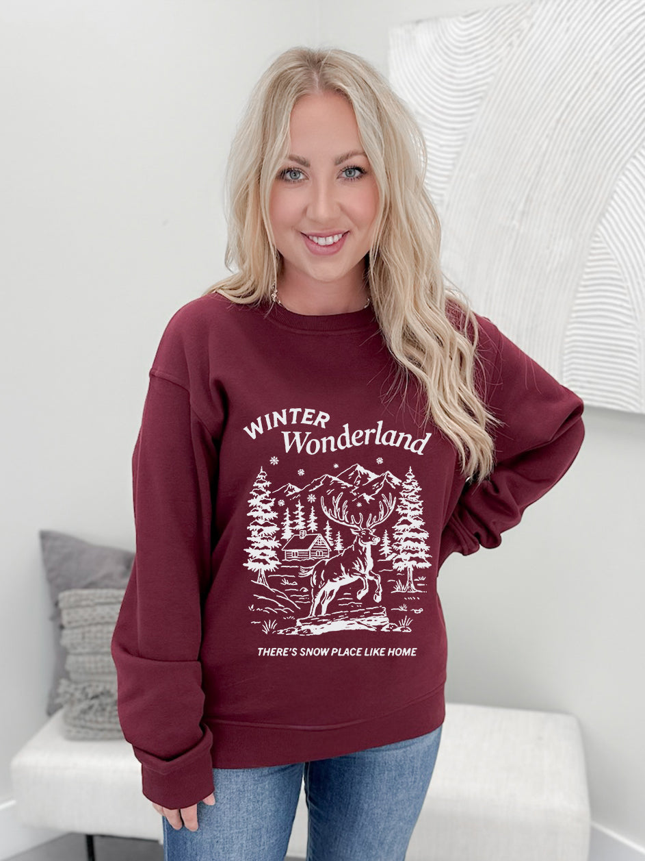 Snow Place Like Home Graphix Pullover / Hoodie