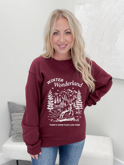 Snow Place Like Home Graphix Pullover / Hoodie