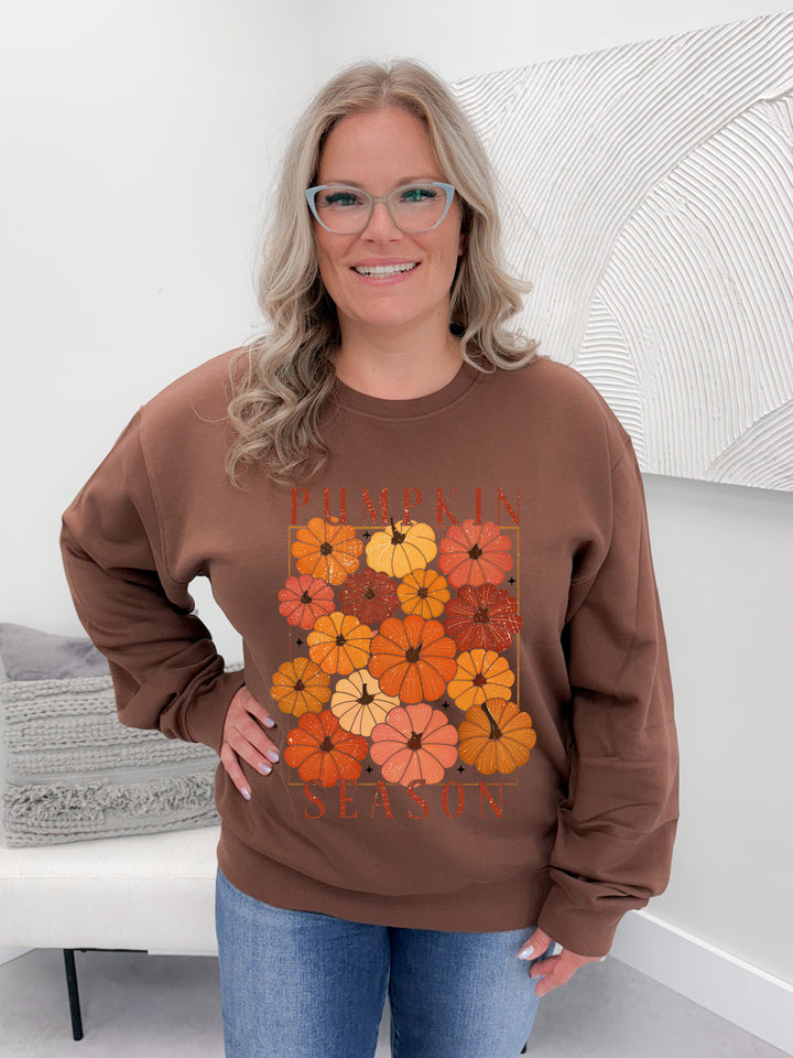 Coloured Pumpkin Season Graphix Pullover / Hoodie