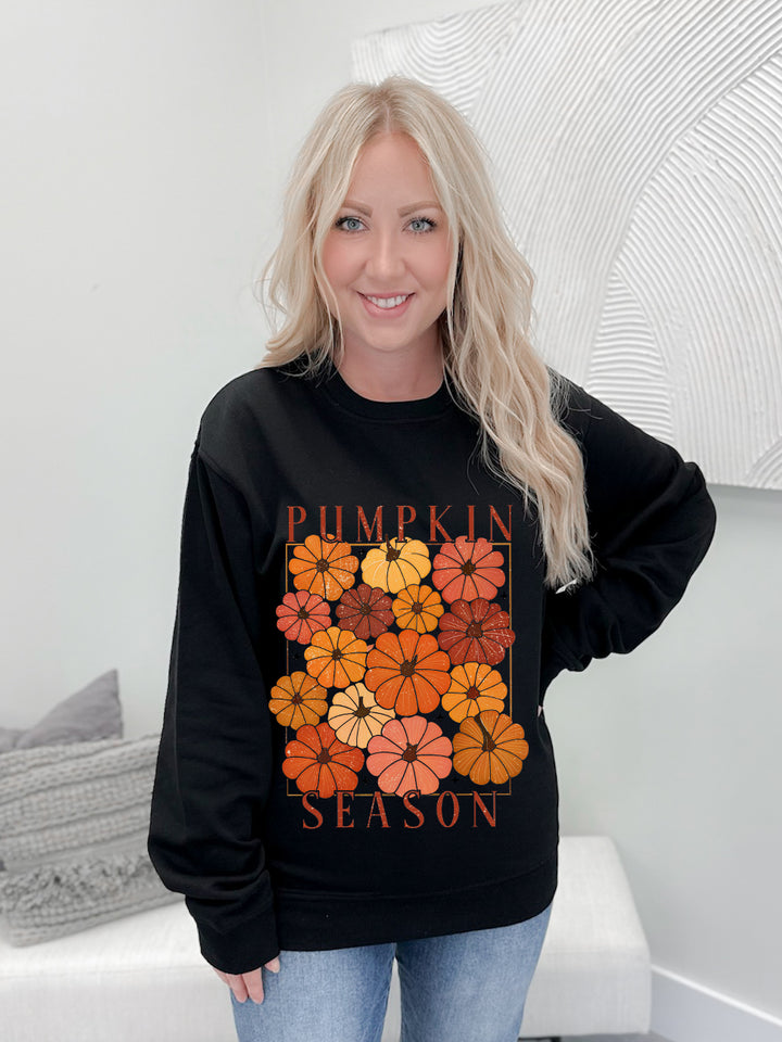 Coloured Pumpkin Season Graphix Pullover / Hoodie