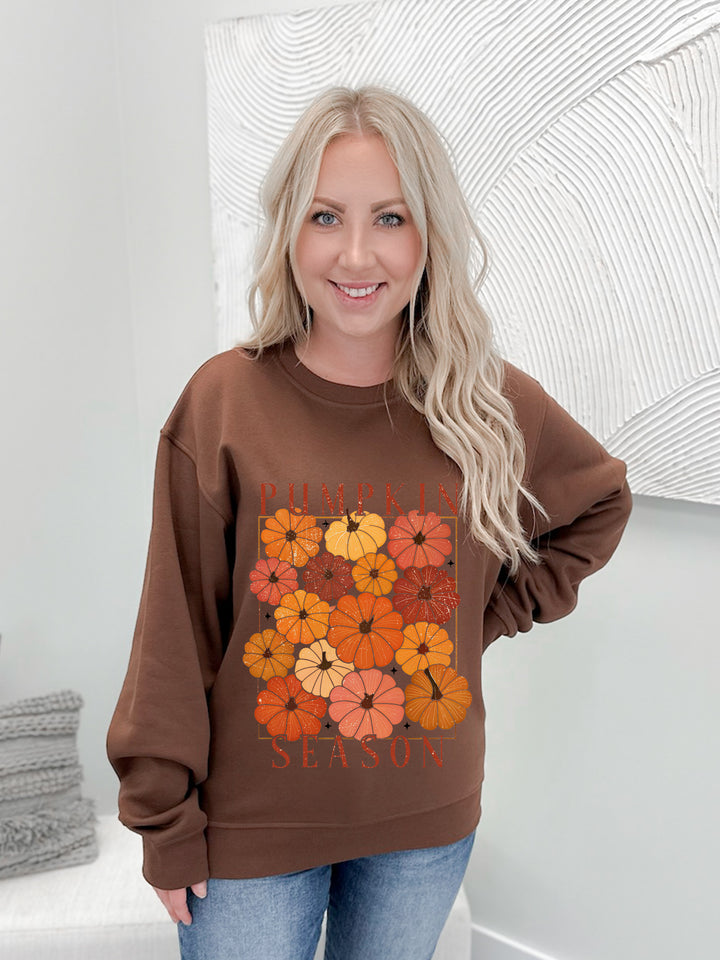 Coloured Pumpkin Season Graphix Pullover / Hoodie
