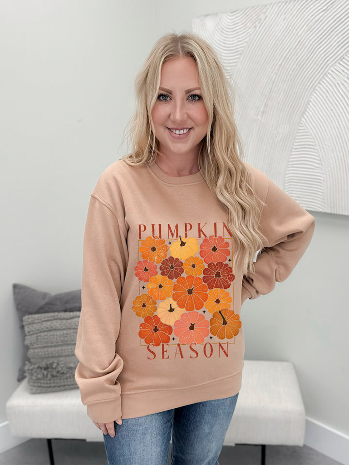 Coloured Pumpkin Season Graphix Pullover / Hoodie