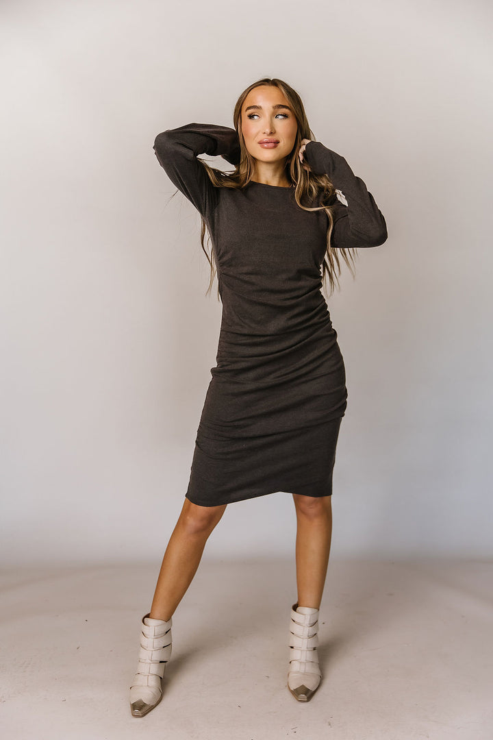 Better Than Basics Long Sleeve Dress in Smoke by Ampersand Ave - 3X