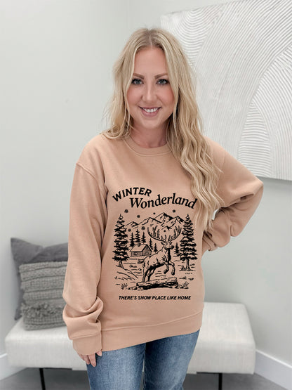 Snow Place Like Home Graphix Pullover / Hoodie